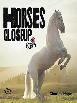 cover image of Horses CloseUp